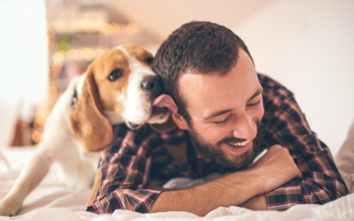 image for Simple New Year’s Resolutions to Make for Your Pet